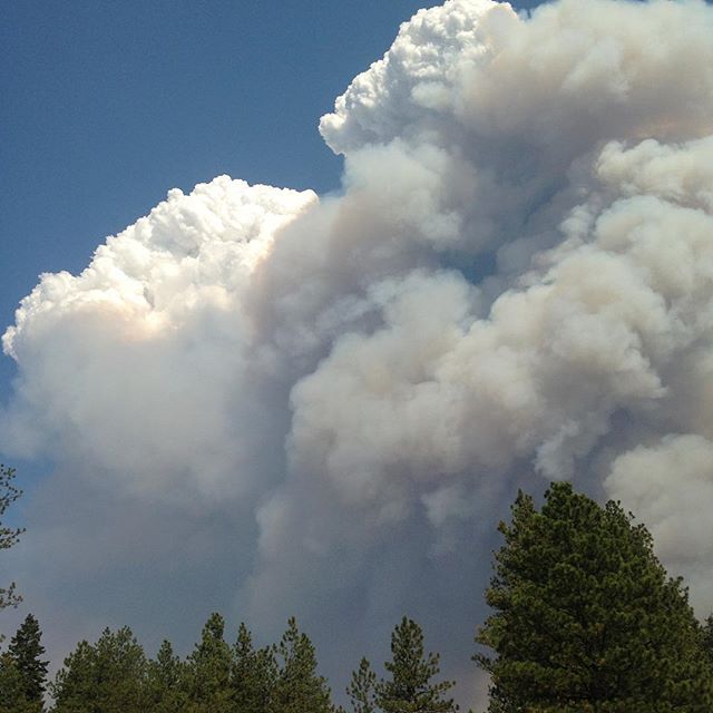 Rock Creek and Westbridge evacuated; 2,500 hectare fire threatens homes ...