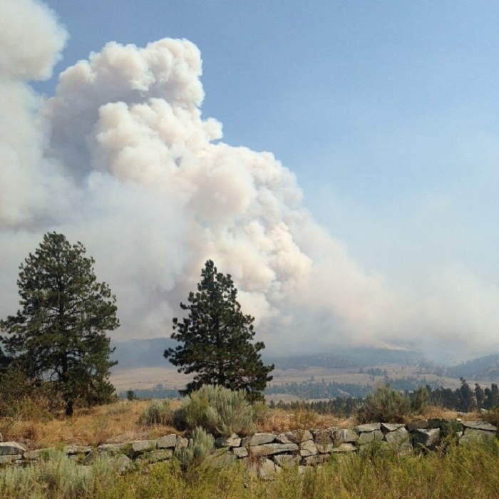 A fire burns near Oroville, Washington,  10 kilometres south of Osoyoos, on August 14, 2015. 