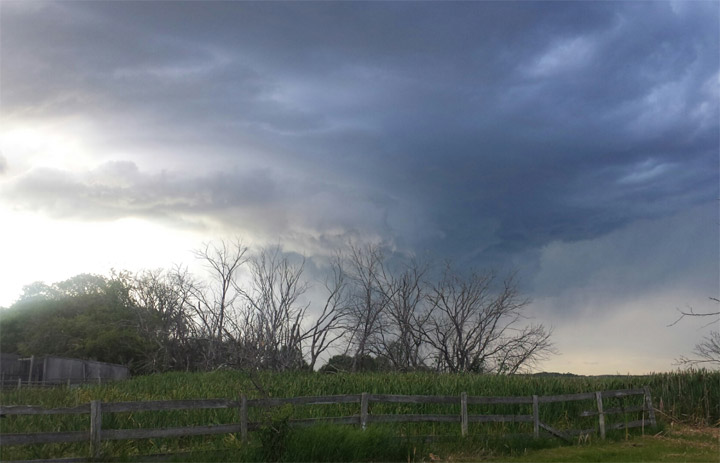 Aug. 4: This Your Saskatchewan photo was taken by Cat Strauss near Corman Park.
