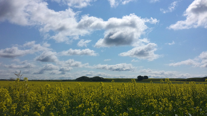 Aug. 14: Eric Beck took this Your Saskatchewan picture near Batoche.