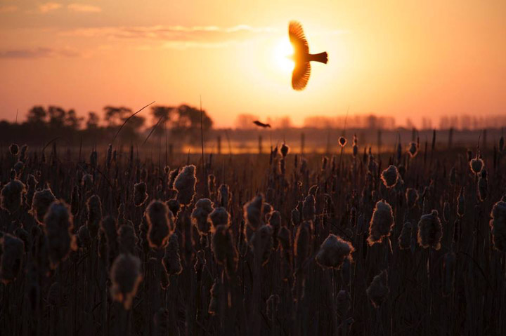 Aug. 31: Teresa Taylor took this Your Saskatchewan photo in Saskatoon.