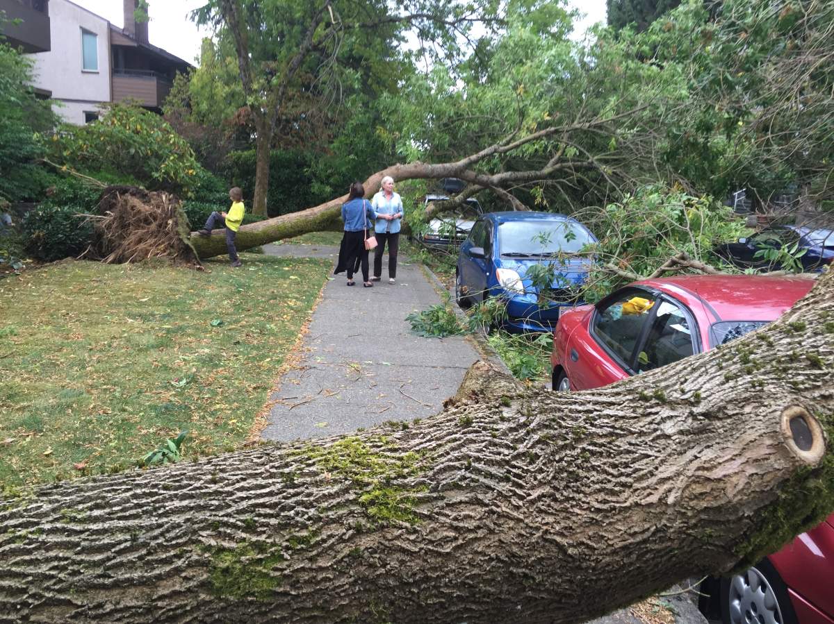 PHOTOS: Largest South Coast storm in a decade causes mass power outages - image