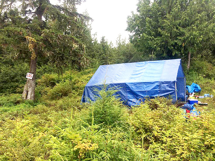 A camp has been set up Lelu Island, near Prince Rupert, to protest the proposed site of an LNG facility by Pacific Northwest LNG.