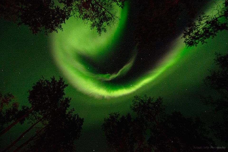 Aslinah Safar captured these twirling northern lights near Peace River, AB on Sunday August 16, 2015.