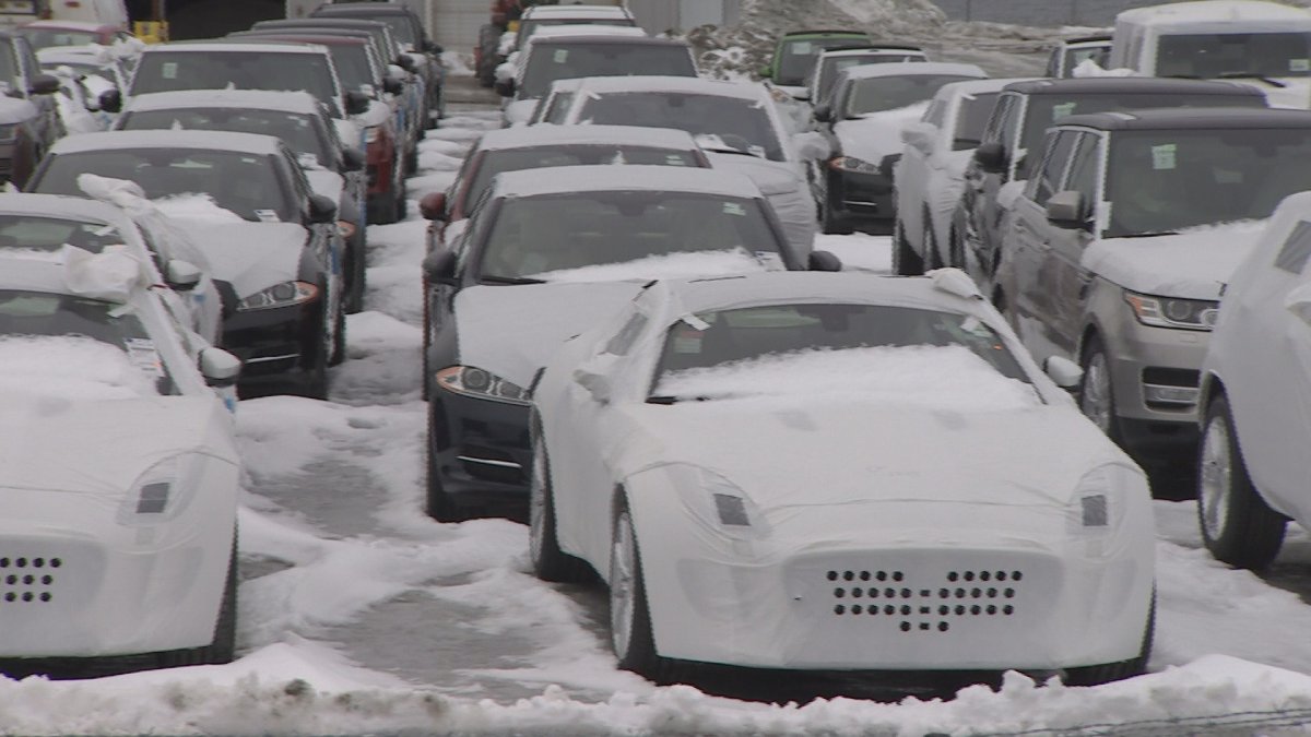Cars that were frozen in ice at a port in Halifax in February 2015 are being recalled over safety concerns.