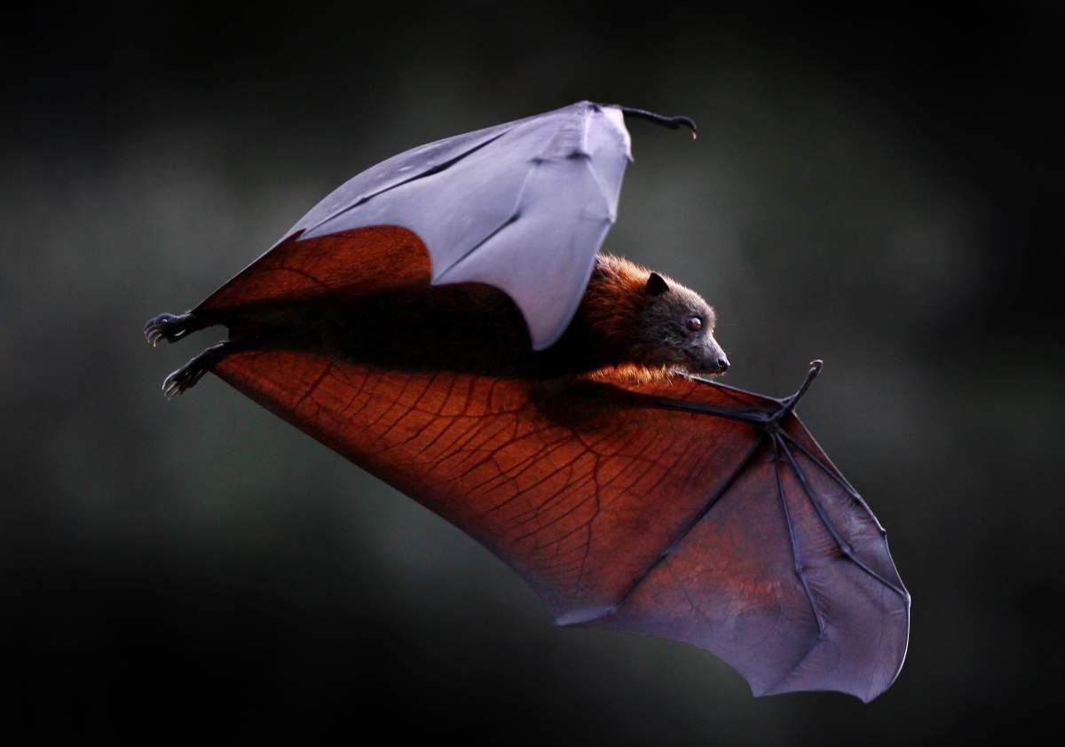 Photo by Newspix / Rex Features .