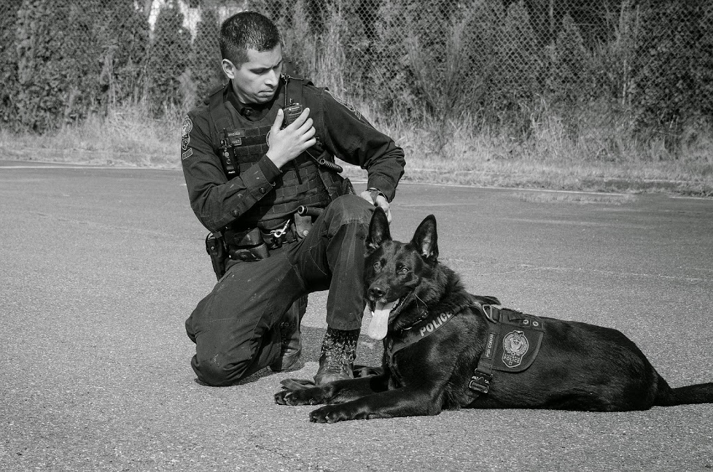 Const. Andre Almeida is a dog handler with the Victoria police.