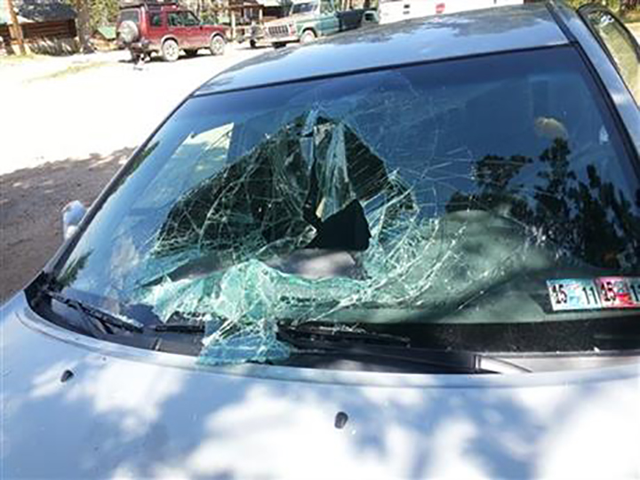 This Aug. 13, 2015, photo provided by Greg Creasy shows some of the damage caused to a Toyota Camry after a black bear broke into the car and became trapped, near Red Lodge, Mont., north of the eastern edge of Yellowstone National Park. Nobody was hurt in the incident.