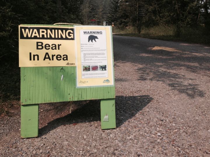 Bear warning in effect for Alberta’s Lac des Arcs campground - image