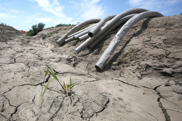 Irrigation pipes sit along a dried irrigation canal on a field near Stockton, Calif. The long-term drought situation in the state could end if El Nino brings consistent rain, but it could present some serious challenges.