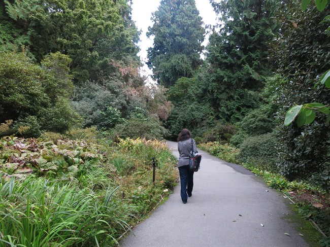 One of the paths at the UBC Botanical Garden in this photo taken on Oct. 10, 2015.