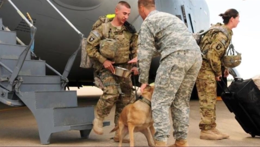 4 years later, U.S. Army veteran reunited with dog he served with in ...