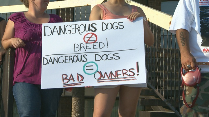Residents in Châteauguay protest pit bull type dog restrictions in the town, Monday, August 17, 2015.