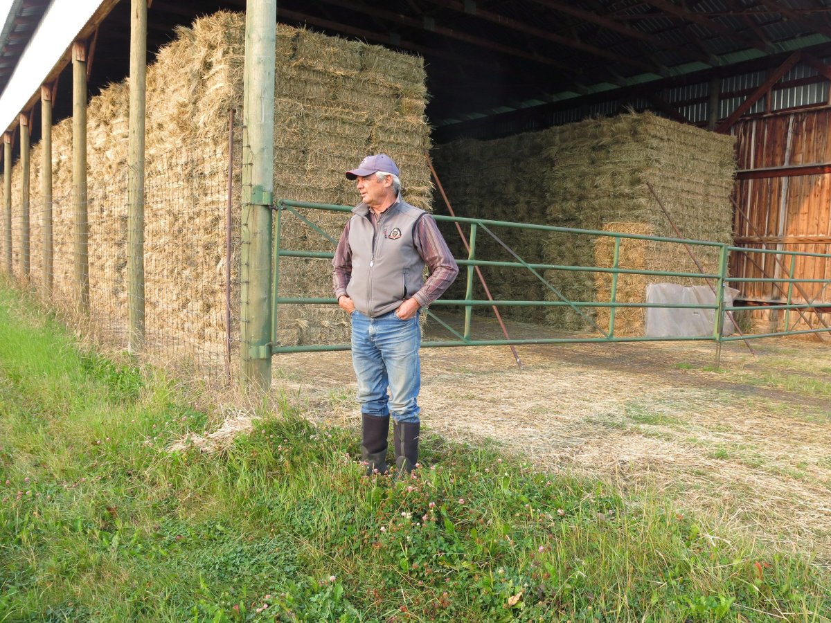 Bob Seaman, the president and CEO of Valley Hay and Cattle Ltd., stands in front of one of his hay sheds in Millarville, Alta., on Wednesday, August 26, 2015. Seaman is benefitting from a sharp spike in hay prices because of the Western Canadian drought.