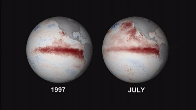 The band of warm water in the Pacific ocean known as El Nino in July 2015 is bigger than the one recorded in 1997. 