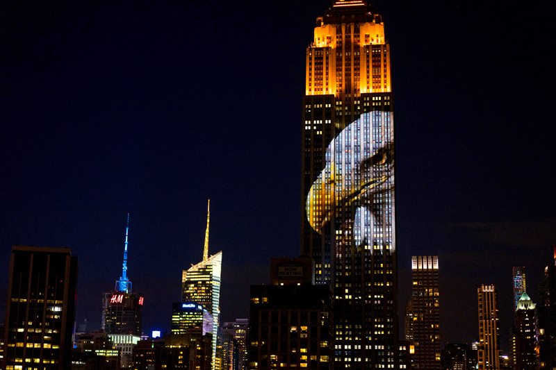 Large images of endangered species are projected on the south facade of The EmpireState Building, Saturday, Aug. 1, 2015, in New York.
