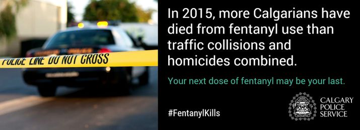 ‘Fentanyl is here and it’s killing Albertans’: warn health officials amid Calgary arrest - image