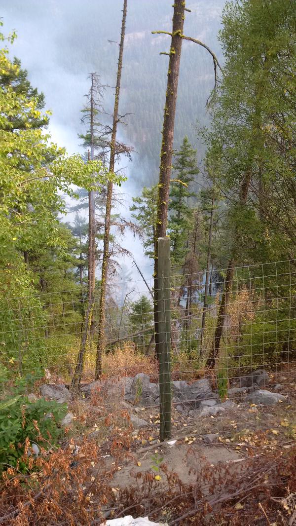 Small brush fire on Connector - image