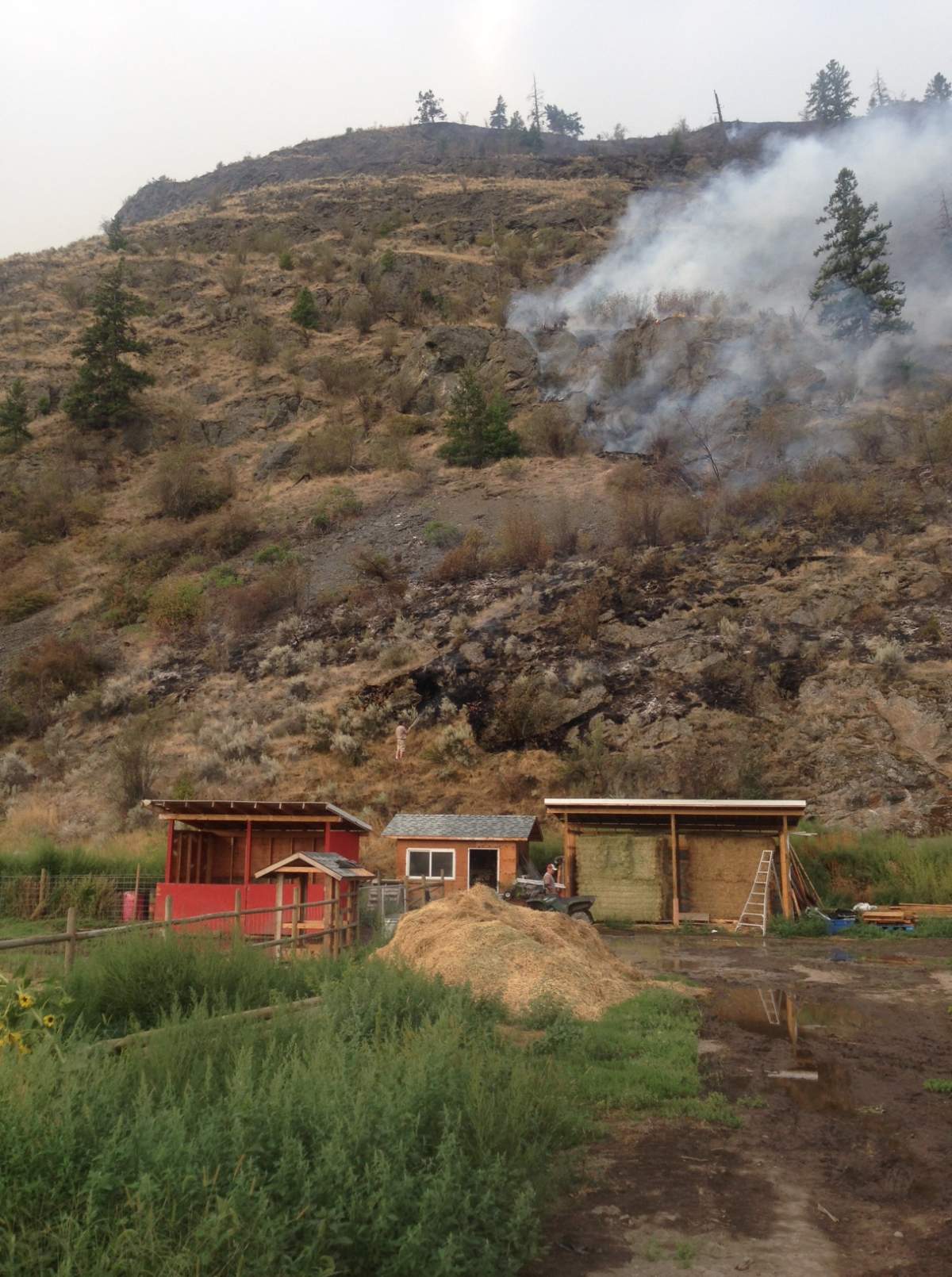 PHOTOS: A visual look at the last three days of fires in southern B.C. - image