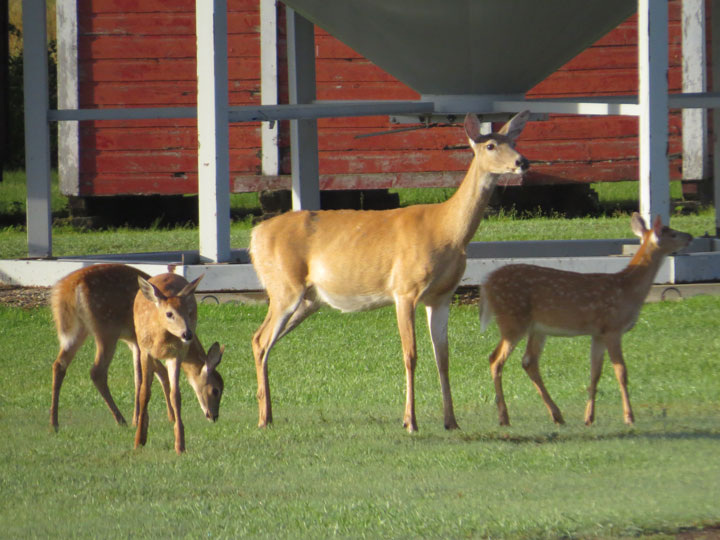 August 15: This Your Saskatchewan photo was taken by Bonnie Evanochko near Canora.