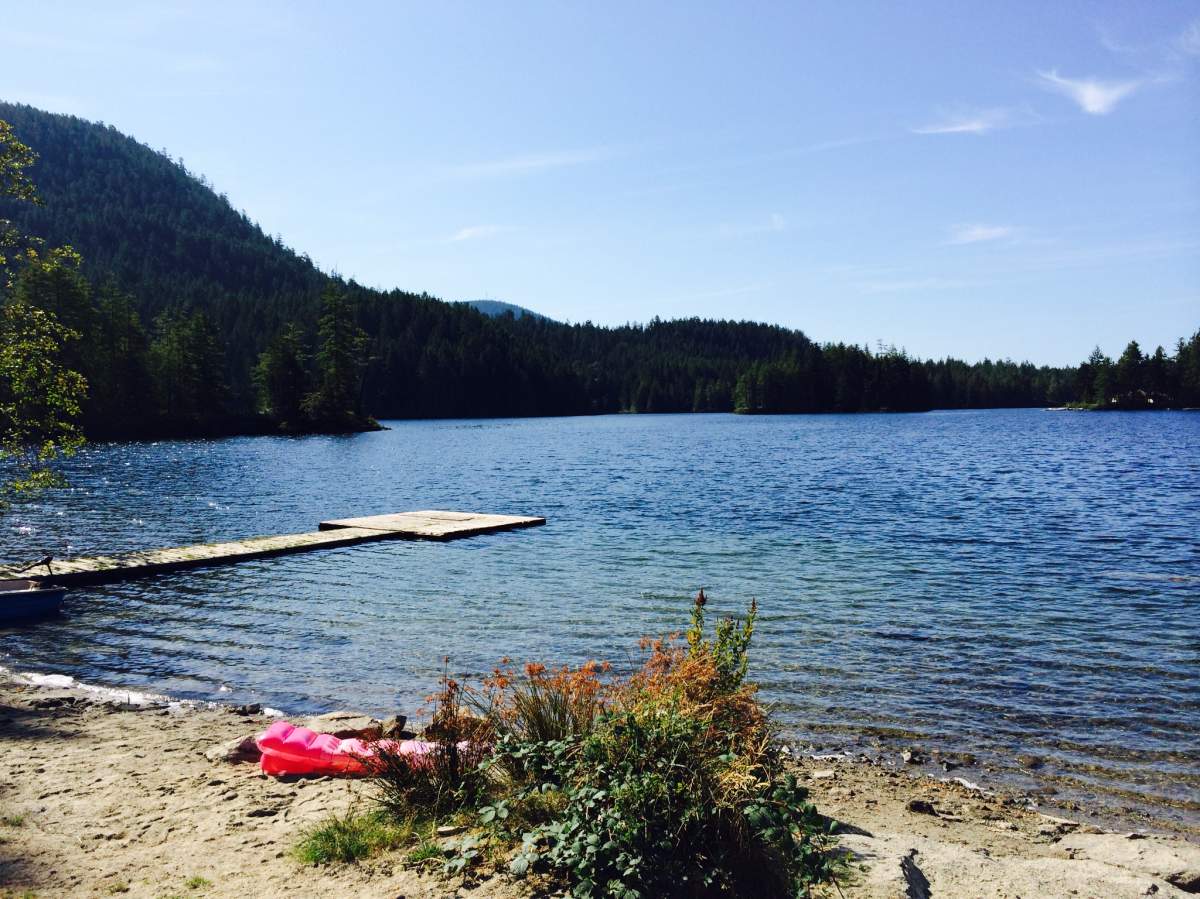 Credit: Robin Stickley