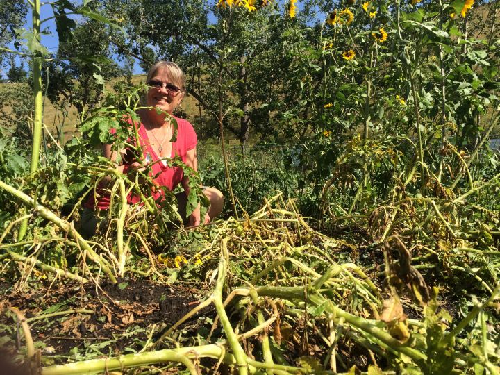 Gardens destroyed Calgary storm