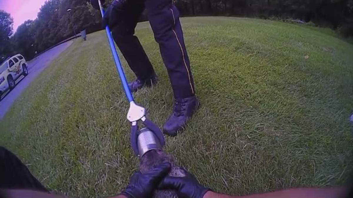 WATCH: Campus cops rescue groundhog with head stuck in can - image