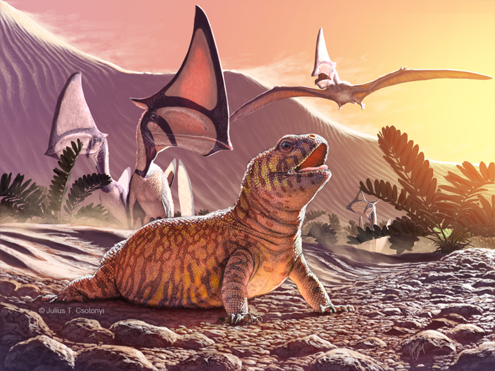 An artist's rendition of Gueragama sulamericana.