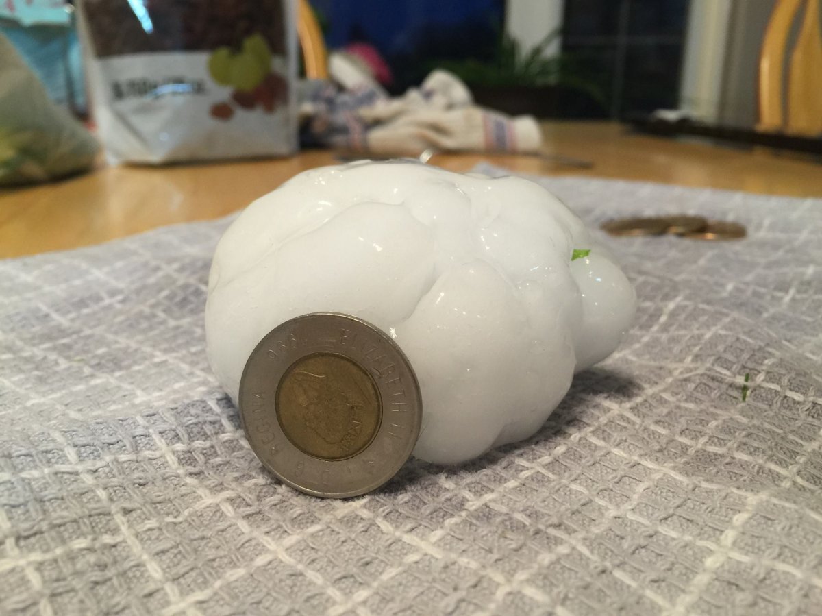 A large chunk of hail which hit Silver Falls Saturday morning. August 22, 2015.
