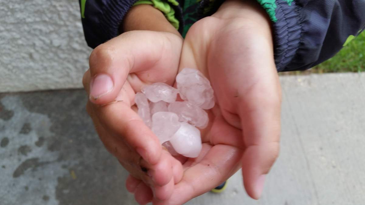 Toonie sized hail fell throughout Winnipeg and mostly in St. Vital. Maxine Schmidt / Global News