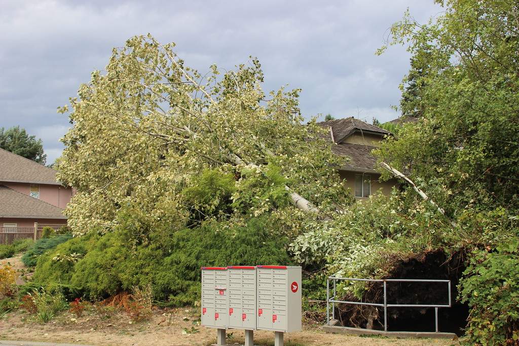 PHOTOS: Largest South Coast storm in a decade causes mass power outages - image