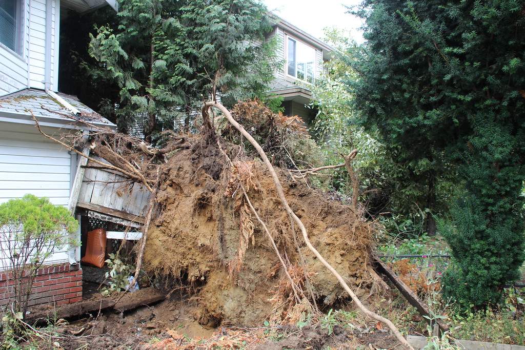 PHOTOS: Largest South Coast storm in a decade causes mass power outages - image