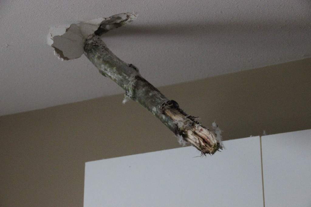 PHOTOS: Largest South Coast storm in a decade causes mass power outages - image