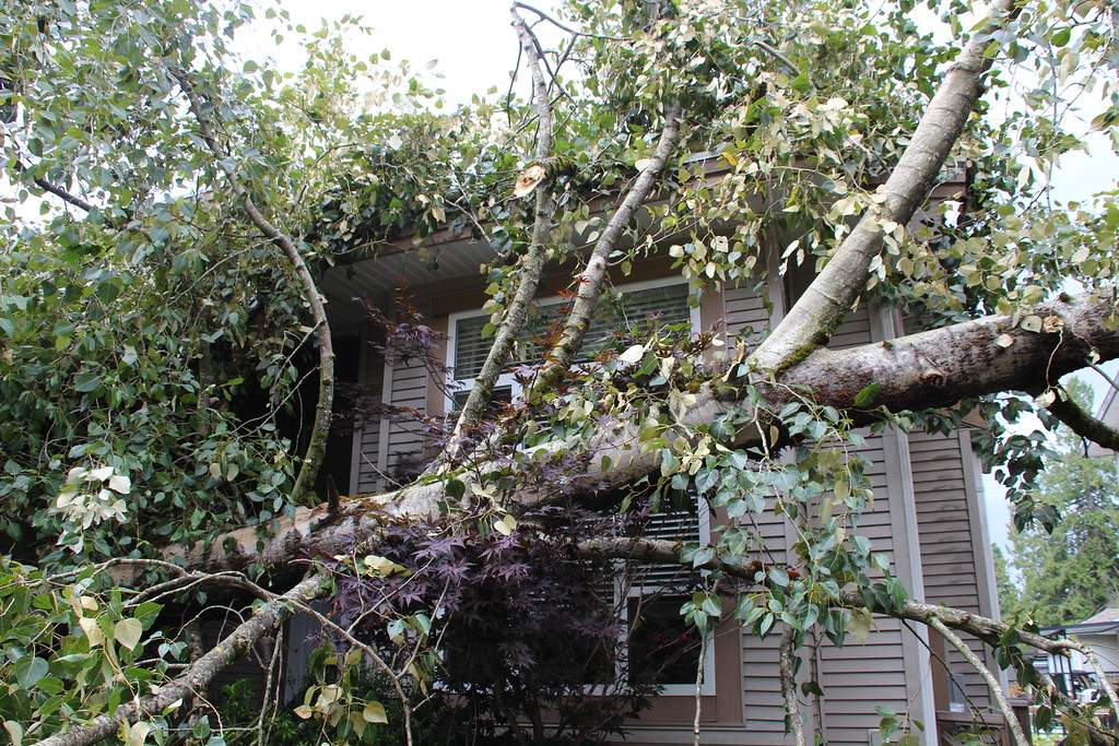 PHOTOS: Largest South Coast storm in a decade causes mass power outages - image