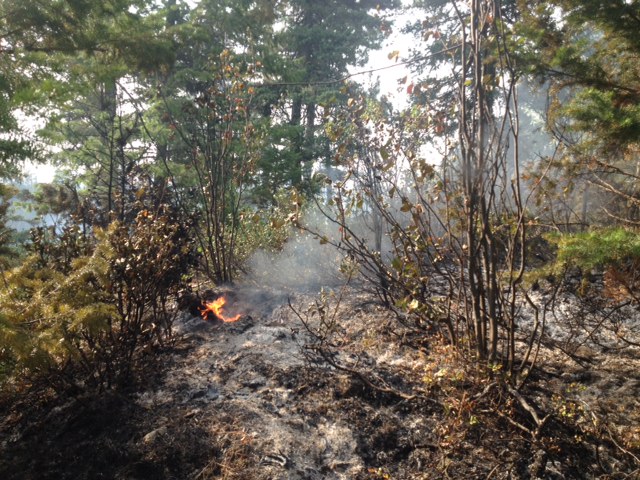 UPDATE: Small wildfire near Peachland - image