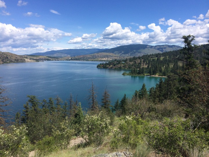 View from Kalamalka Lake Provincial Park on  June 13, 2015. 