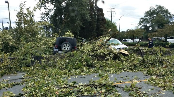 Massive Metro Vancouver Storm Leads To Power Outages, Fallen Trees ...