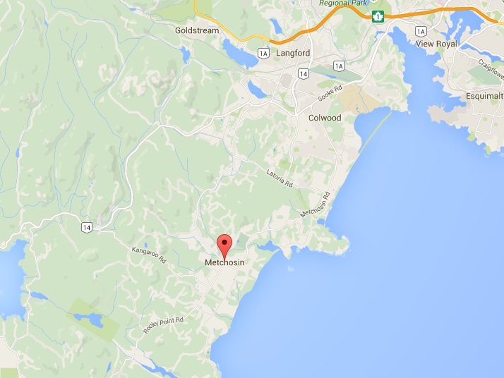 Langford, B.C., man dies in crane collapse - image