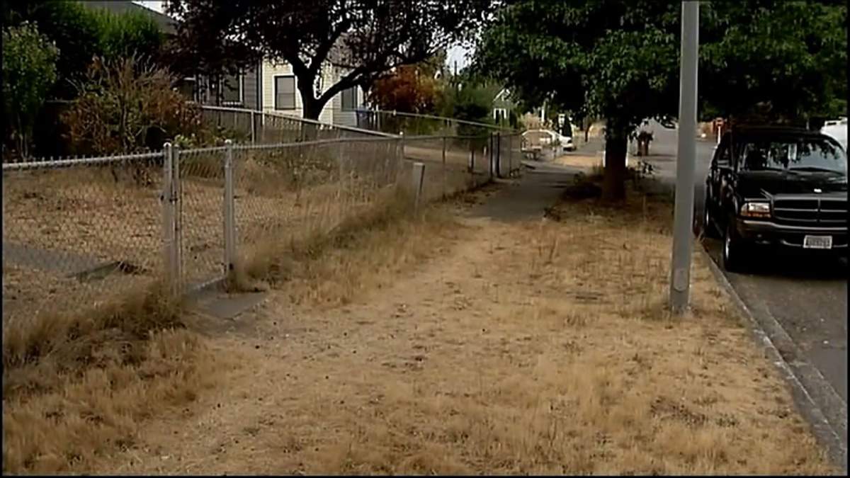 Siblings save 2-year-old sister from attempted abduction - image