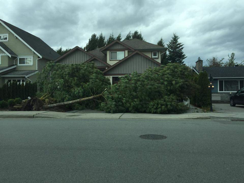Courtesy Niclas Lompe – Ladner