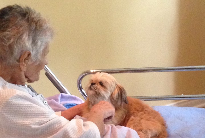 Ping Pong sits with a patient at the West Island Palliative Care Residence, Wednesday, August 5, 2015.