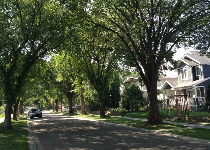 Edmonton's Parkdale Cromdale neighbourhood Tuesday, August 11, 2015. 