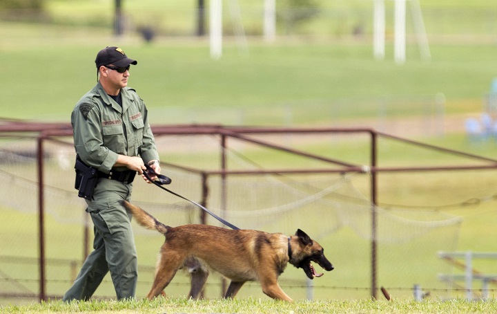 A West Virginia Police officer and a dog walk around the perimeter of Philip Barbour High School grounds following a "hostage-type situation" Tuesday, Aug. 25, 2015, in Philippi, W.Va. 