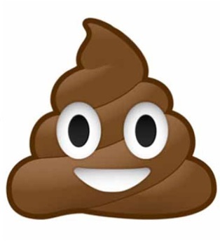 New emojis unveiled as odd ‘language’ keeps evolving - image