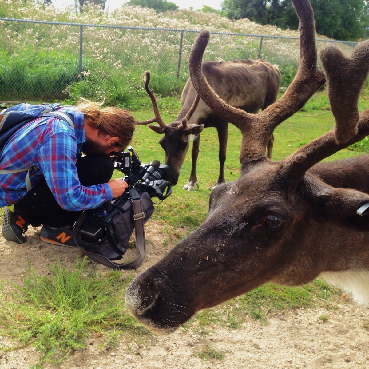 Global's Gage Fletcher gets the close up at the Assiniboine Park Zoo. 
