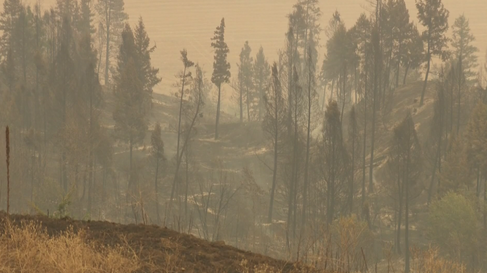 30 homes destroyed in Rock Creek fire; now 3,750 hectares Globalnews.ca