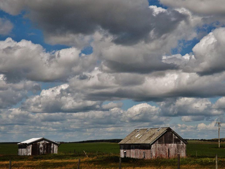 August 30: This Your Saskatchewan photo was taken by Rhyland Cottingham at Eyebrow.