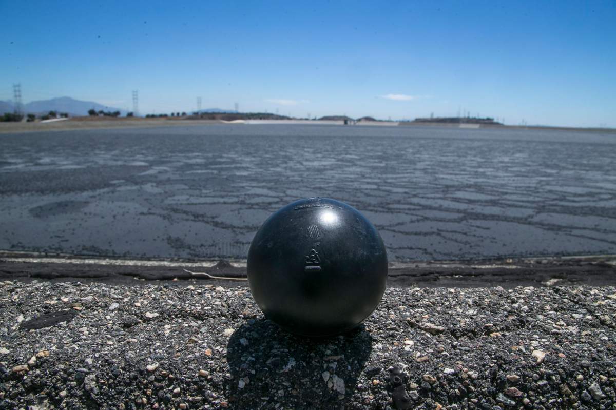 California using millions of ‘Shade Balls’ to combat ongoing drought - image