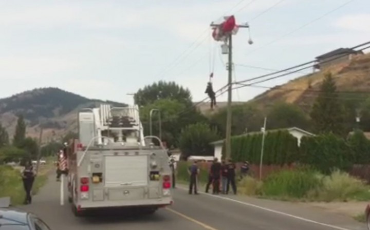 A skydiver had to be rescued after landing on power lines in Vernon. 