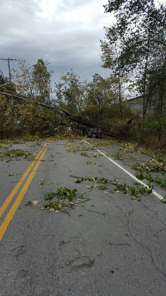 PHOTOS: Largest South Coast storm in a decade causes mass power outages - image